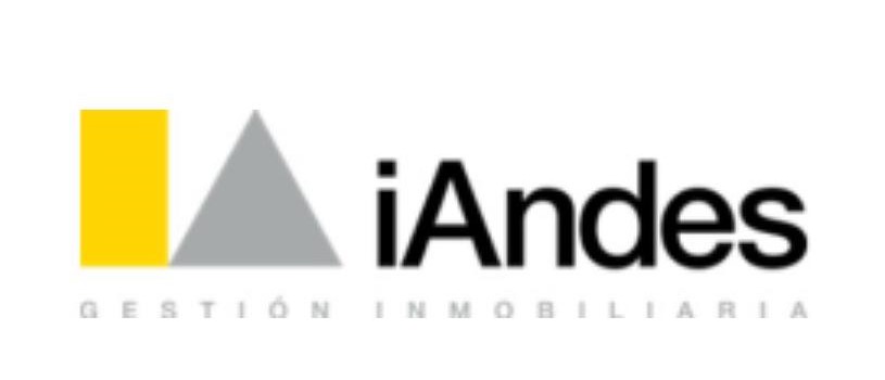 Logo Iandes